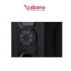 اسپیکر خانگی کنکورد پلاس مدل SF-R219