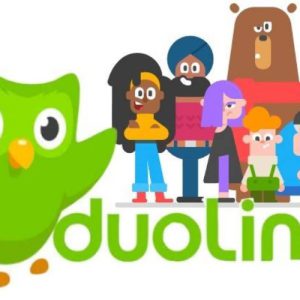 نرم‌افزار زبان در خانه، معرفی نرم‌افزار duolingo